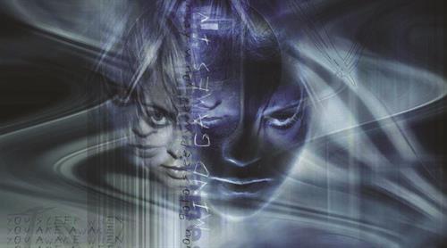 mohammadreza&nbsp;shahmohammadi